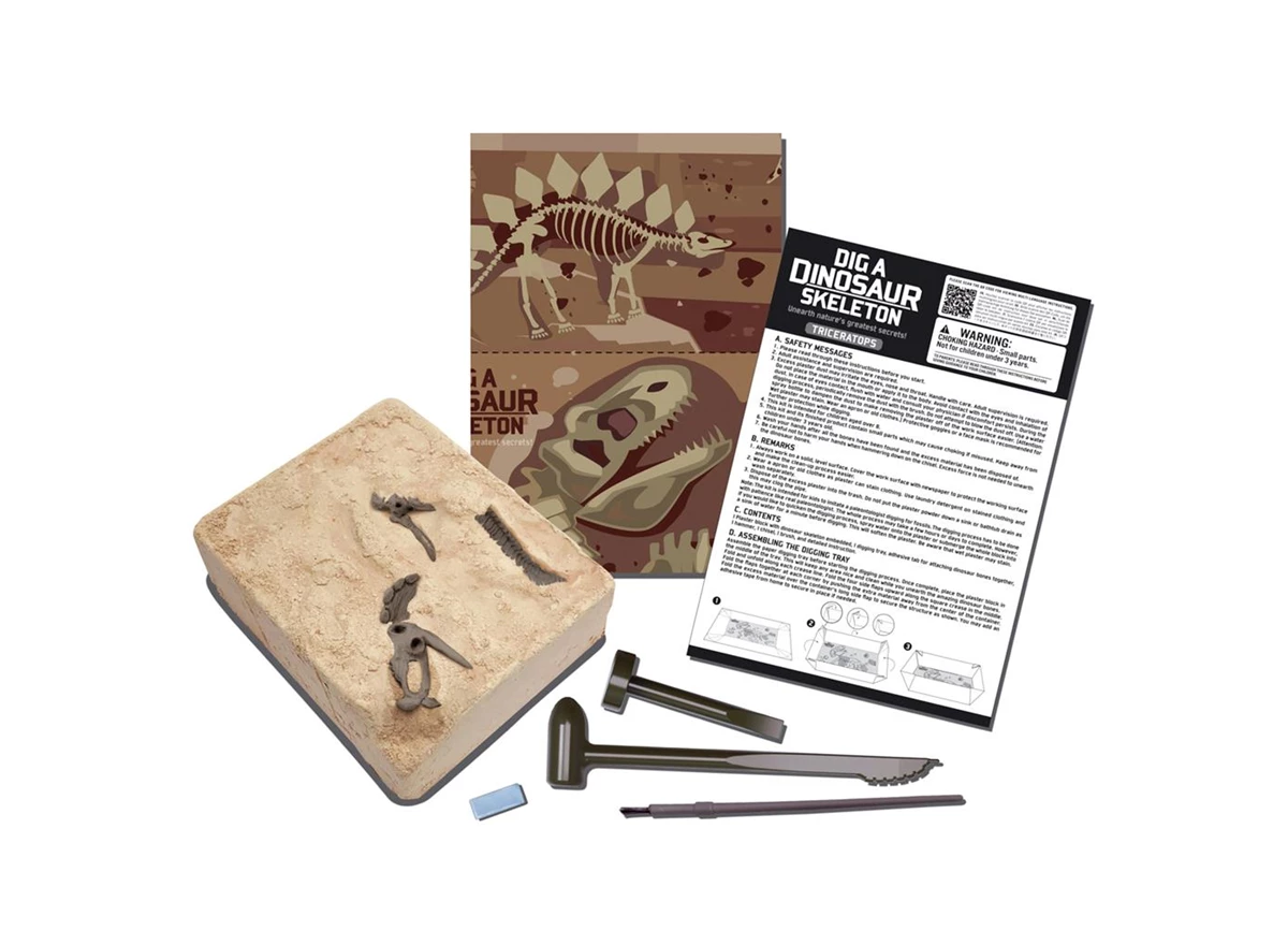 5603228_3.jpg