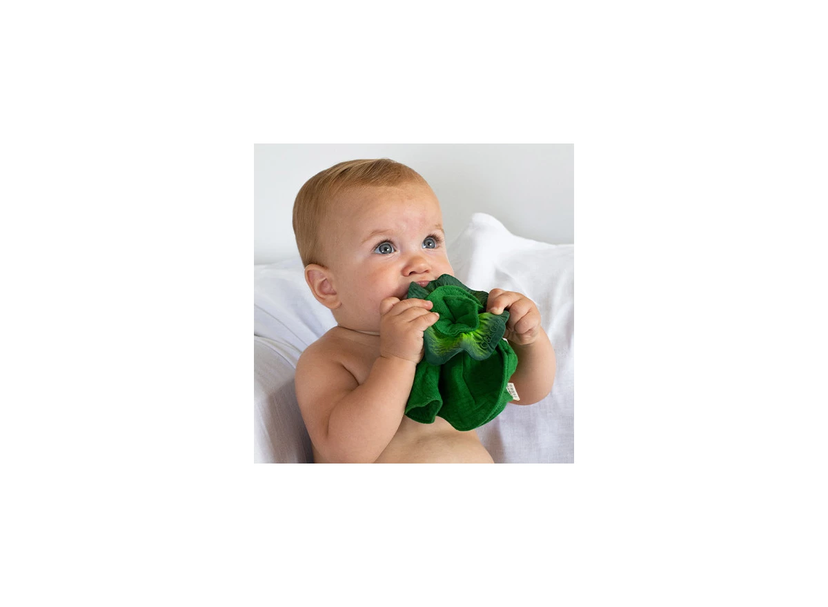 137774_4.jpg