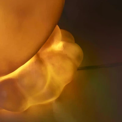 136701_4.jpg