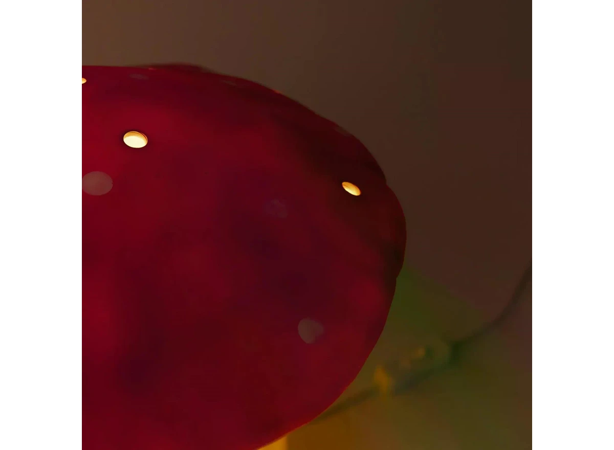141310_7.jpg