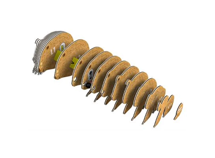 3D-Model-Wild-Dier-Wombat-6-3x4-1x4-4-cm