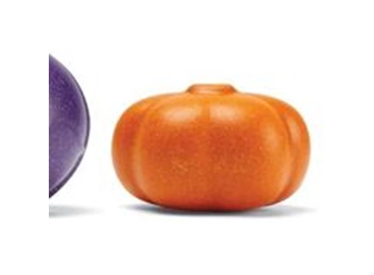 5-kleuren-groenten-set