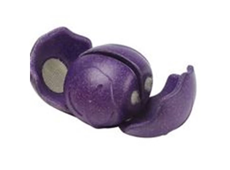 5-kleuren-groenten-set