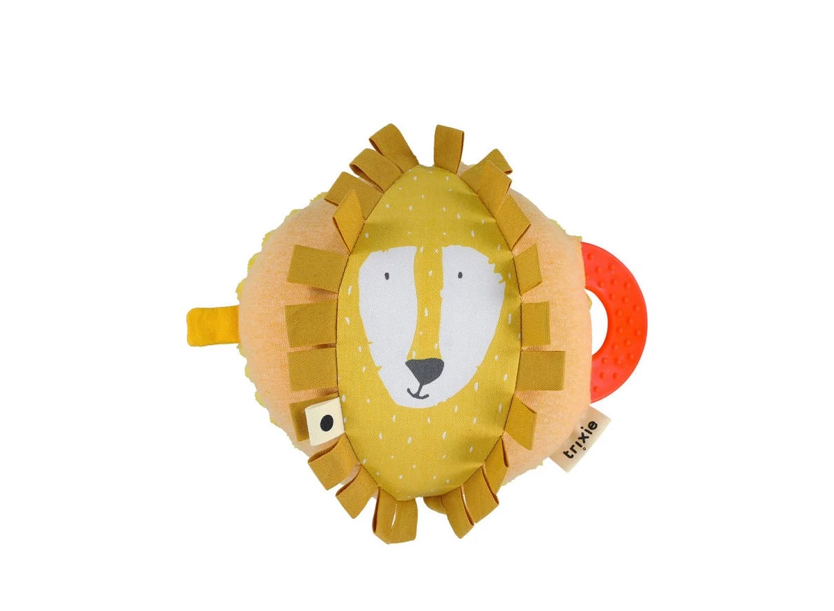 Activiteitenbal-Mr-Lion