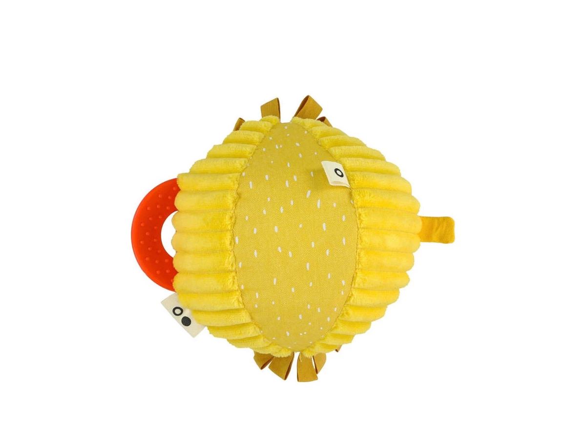 Activiteitenbal-Mr-Lion