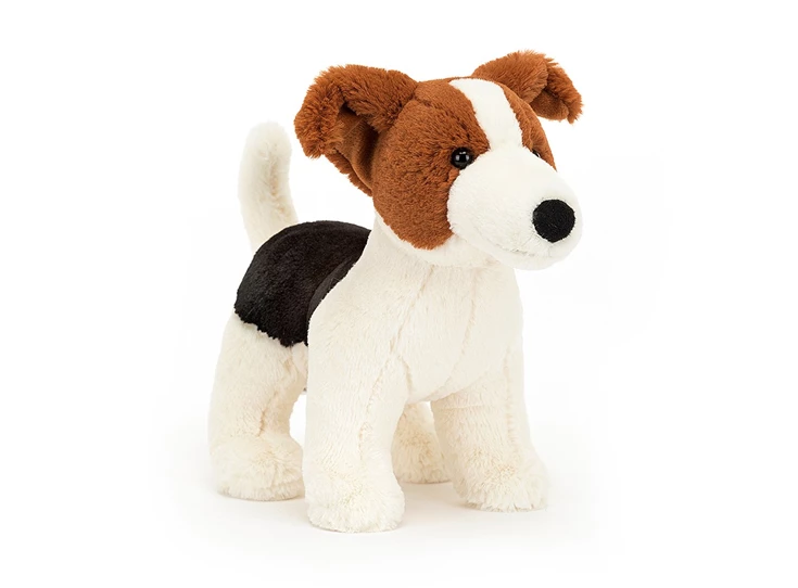 Albert-Jack-Russell