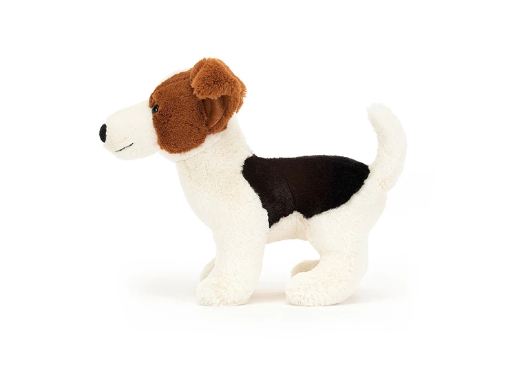 Albert-Jack-Russell