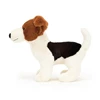 Albert-Jack-Russell