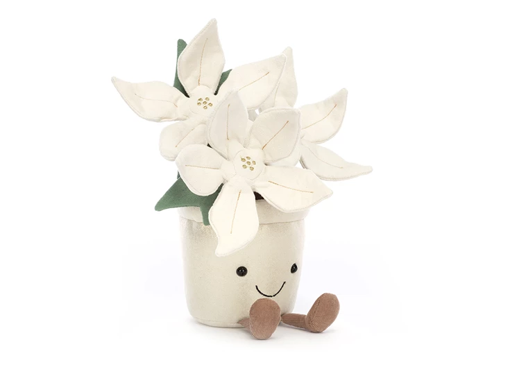 Amuseable-Gold-Poinsettia