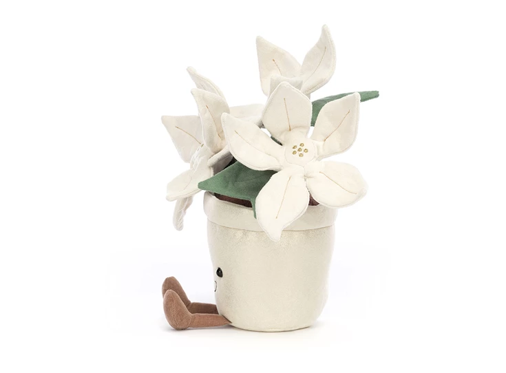 Amuseable-Gold-Poinsettia