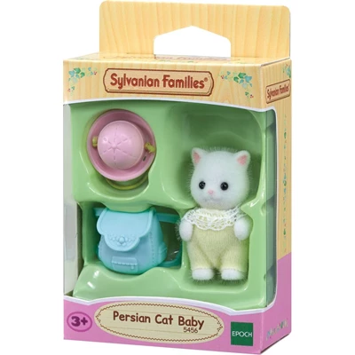 Baby-Perzische-Kat