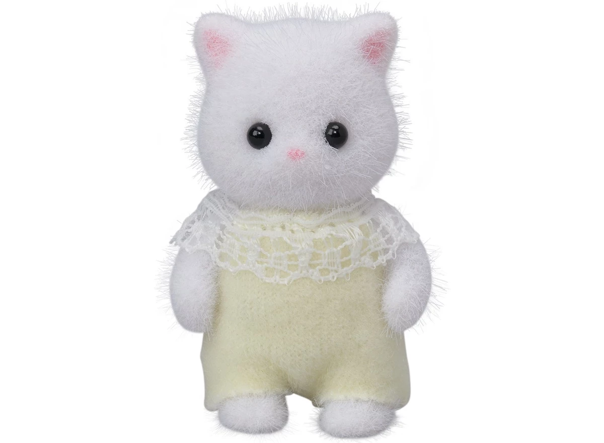 Baby-Perzische-Kat