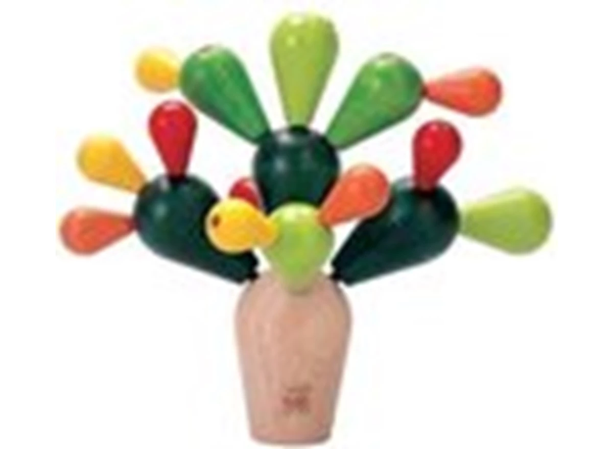 Balancerende-Cactus