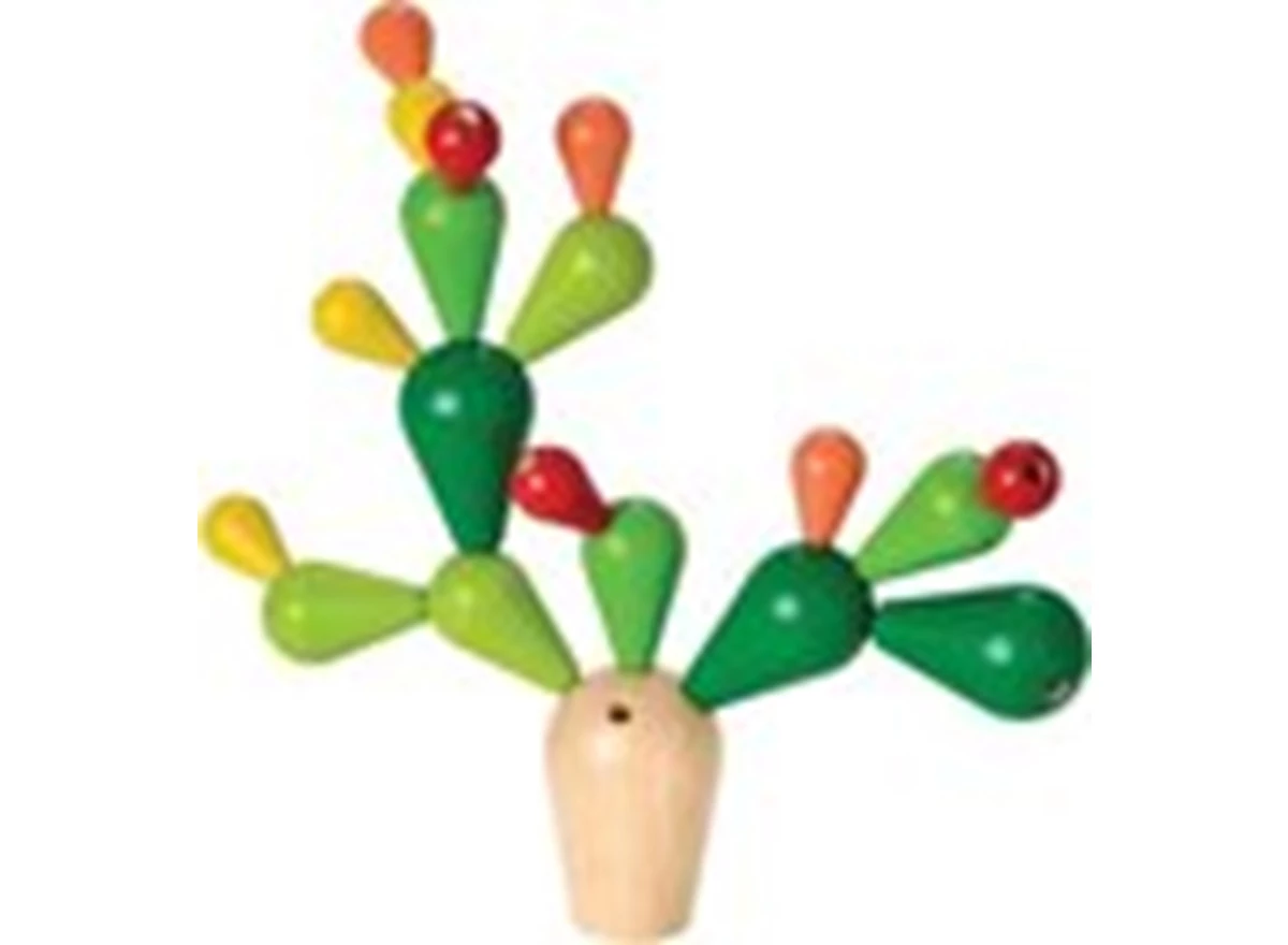 Balancerende-Cactus