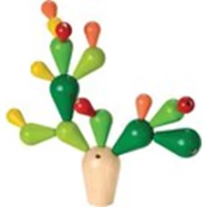 Balancerende-Cactus