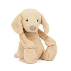 Bashful-Luxe-Puppy-Orlando-Big