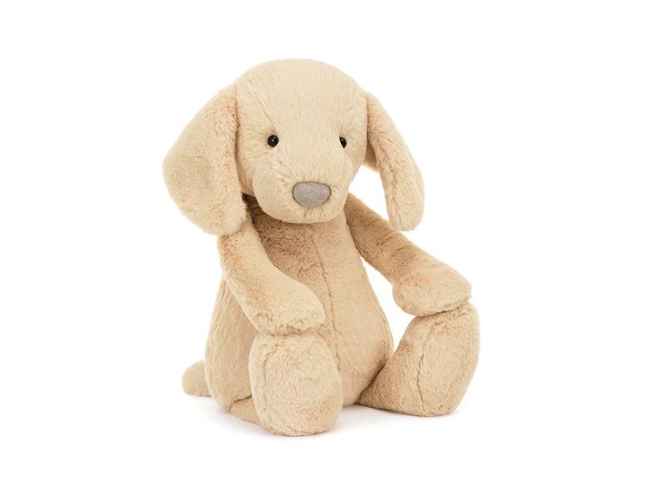 Bashful-Luxe-Puppy-Orlando-Big