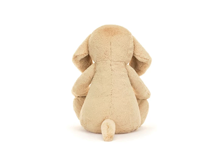 Bashful-Luxe-Puppy-Orlando-Big