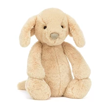 Bashful-Luxe-Puppy-Orlando-Original