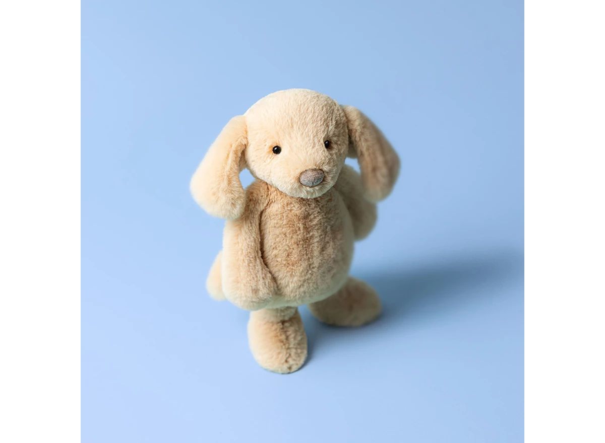 Bashful-Luxe-Puppy-Orlando-Original