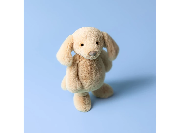 Bashful-Luxe-Puppy-Orlando-Original