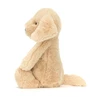 Bashful-Luxe-Puppy-Orlando-Original