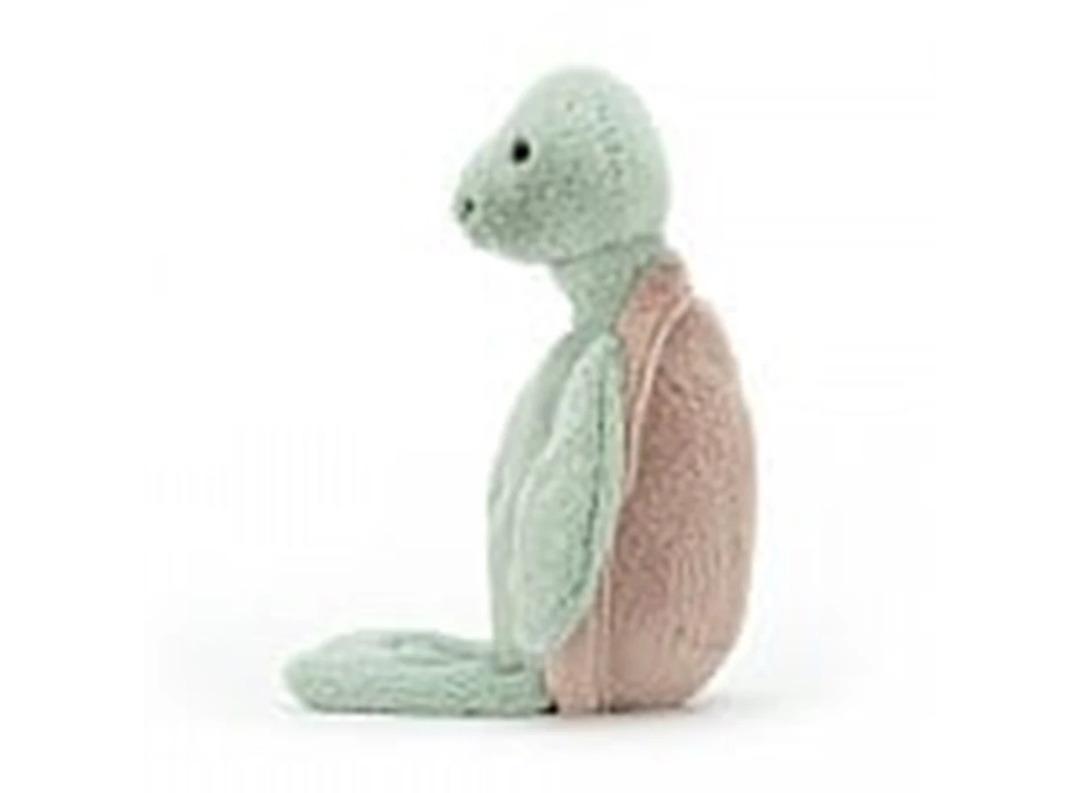 Bashful-Turtle-Medium