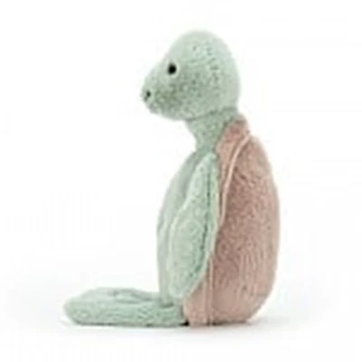 Bashful-Turtle-Medium