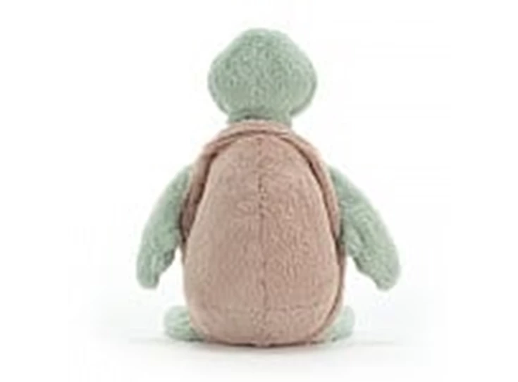 Bashful-Turtle-Medium