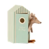 Beach-Mice-Big-Brother-in-Cabin-de-Plage