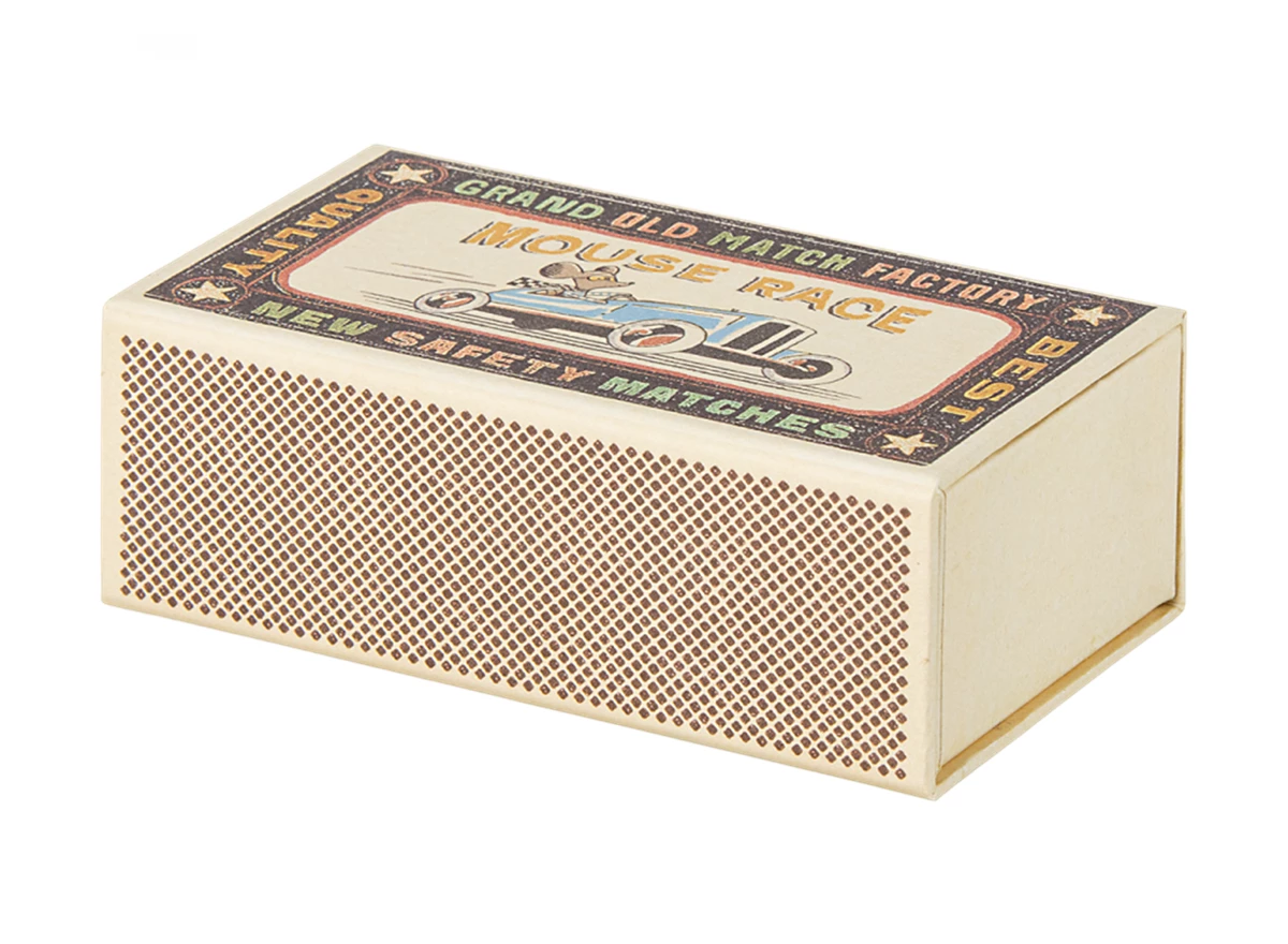 Big-brother-mouse-in-matchbox