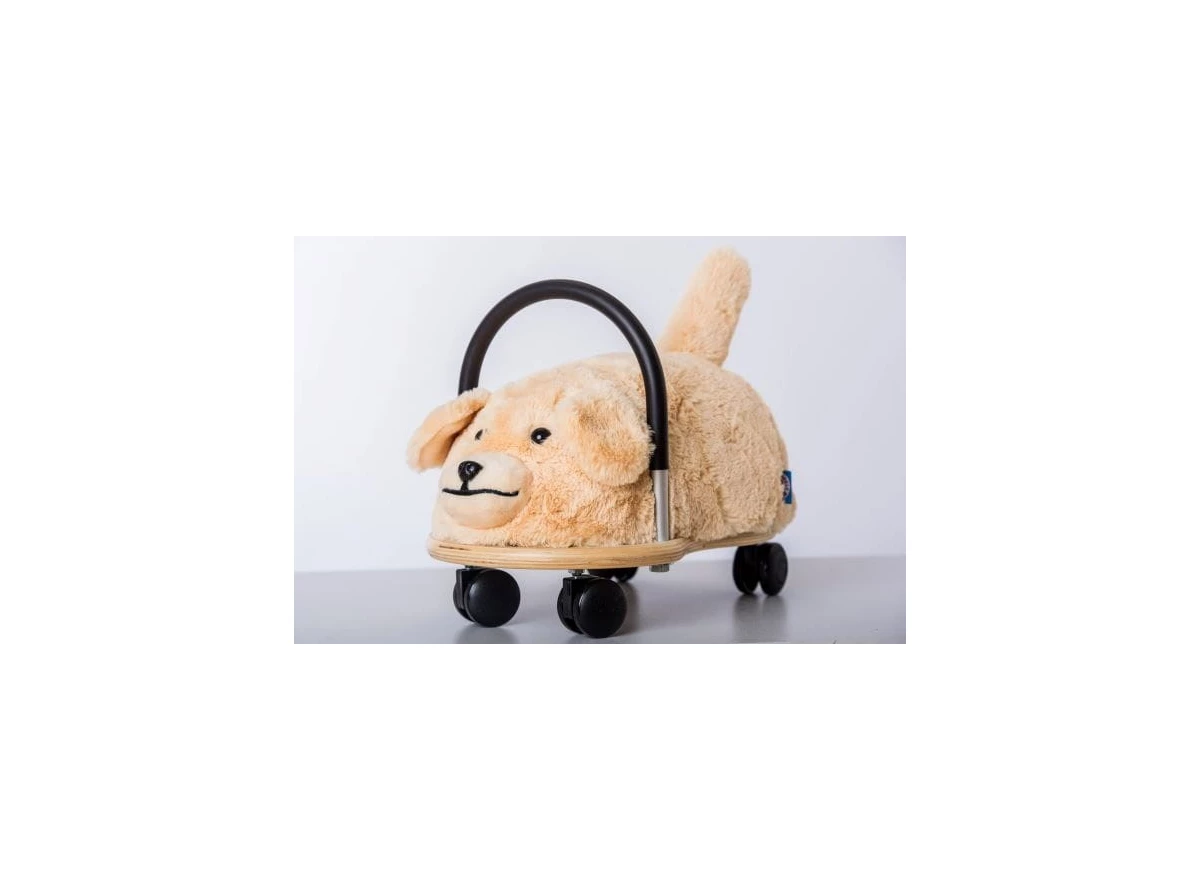 Black-Body-Cover-Dog