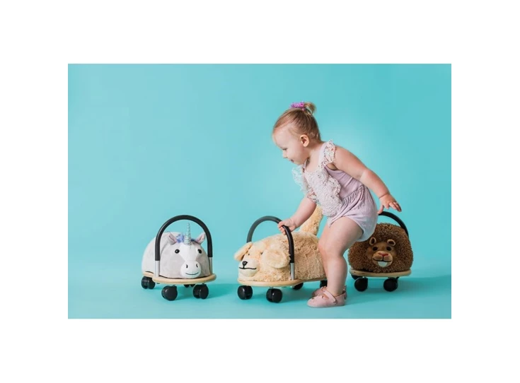 Black-Body-Cover-Dog