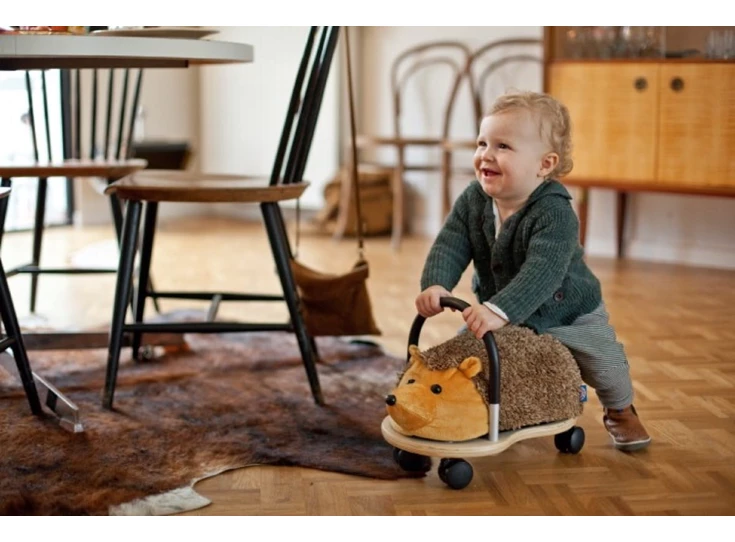 Black-Body-Cover-Egel