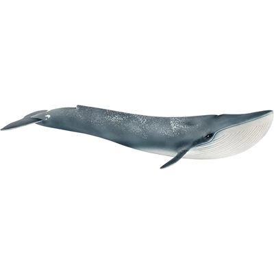 Blauwe-Walvis