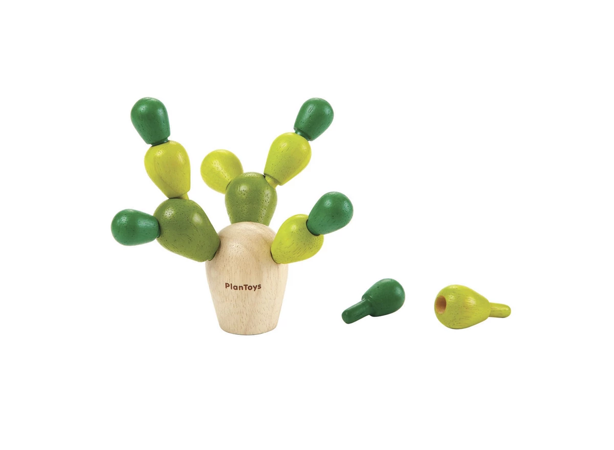 Blikken-doosje-Balancing-Cactus