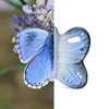 Blues-the-Butterfly