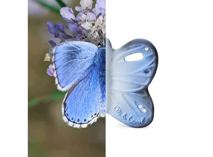 Blues-the-Butterfly