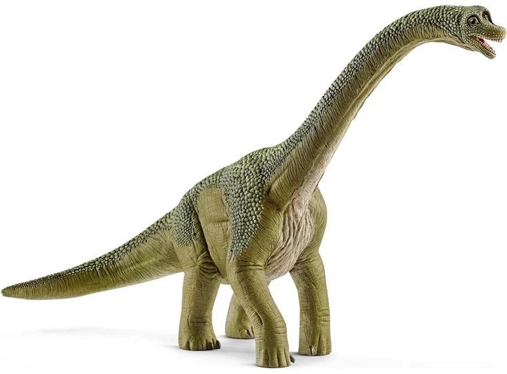 Brachiosaurus-Groen