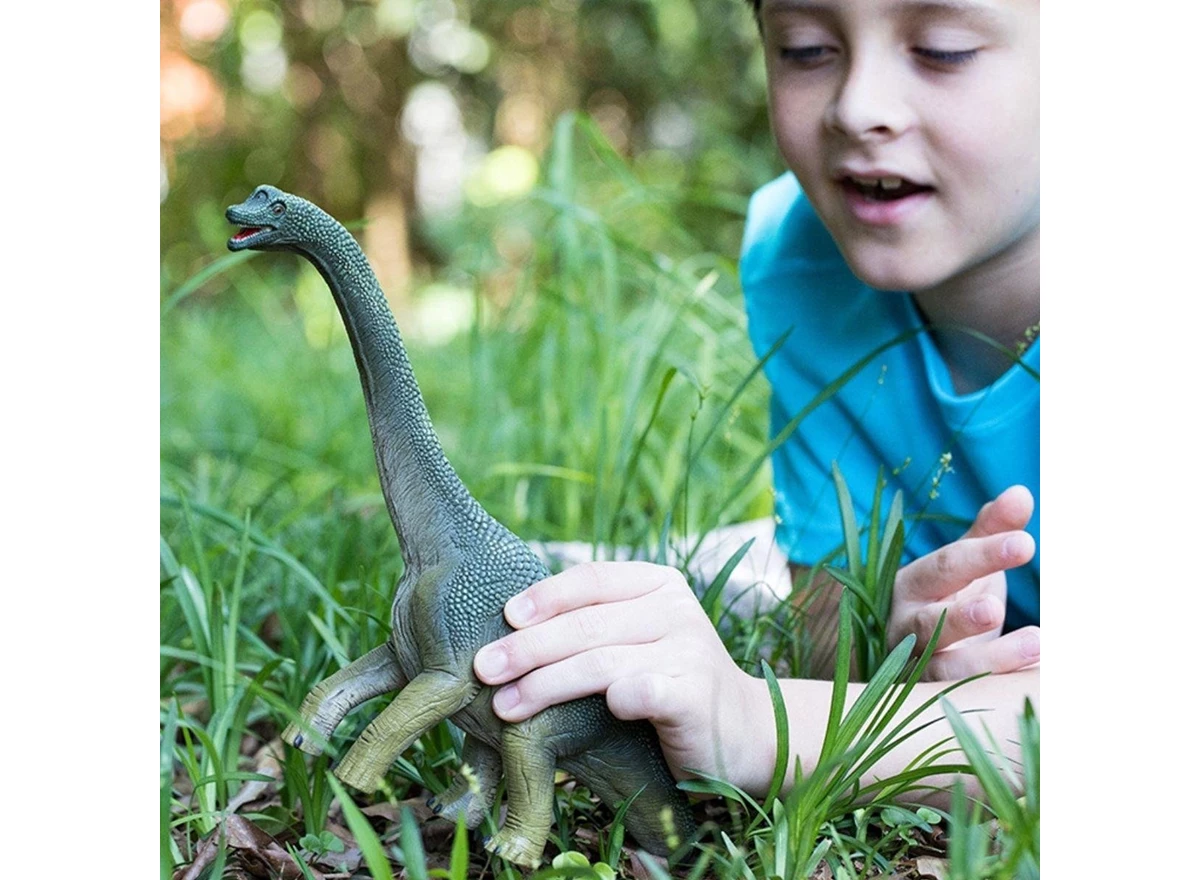 Brachiosaurus-Groen
