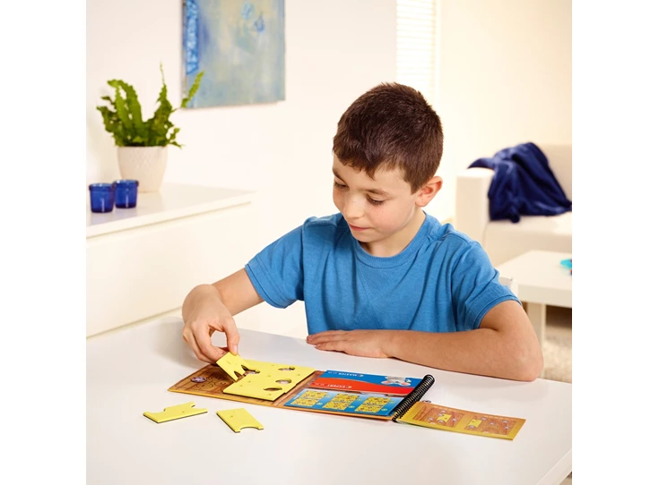 Brain-Cheeser-48-opdrachten-