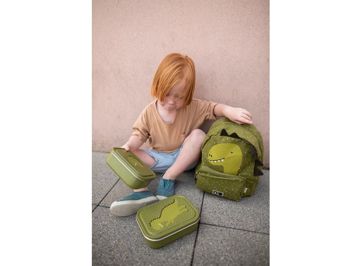 Brooddoos-Klein-Mr-Dino