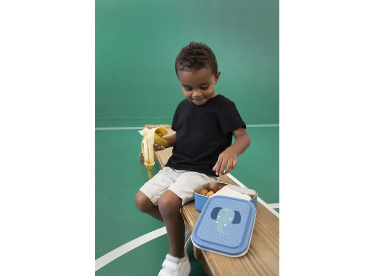 Brooddoos-Klein-Mrs-Elephant