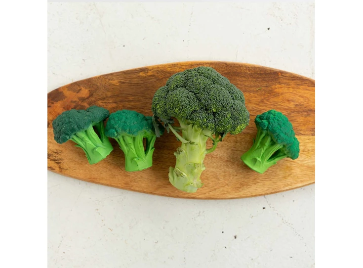 Brucy-de-Broccoli-Baby-Bijtring