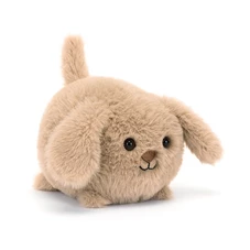Caboodle-Puppy