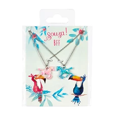 Cadeauset-BFF-paarden-ketting-zilver-2-stuks-kaartje-