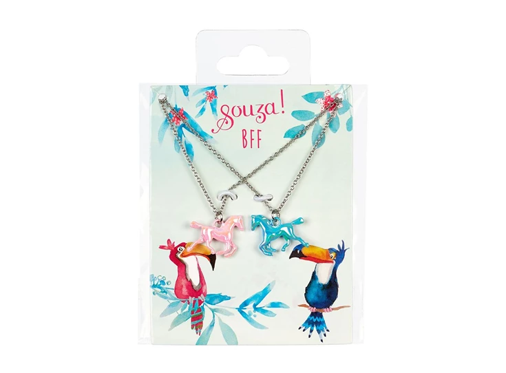 Cadeauset-BFF-paarden-ketting-zilver-2-stuks-kaartje-