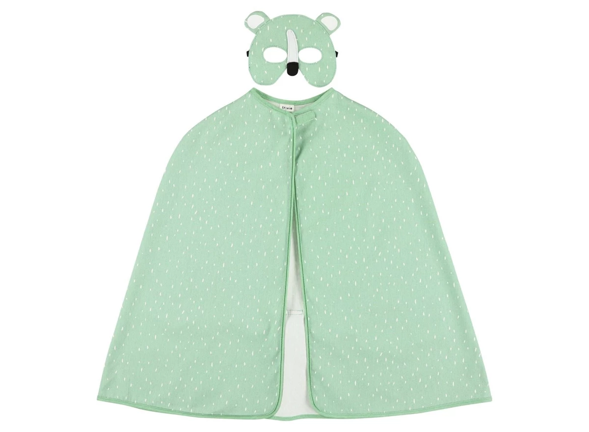 Cape-and-mask-Mr-Polar-Bear