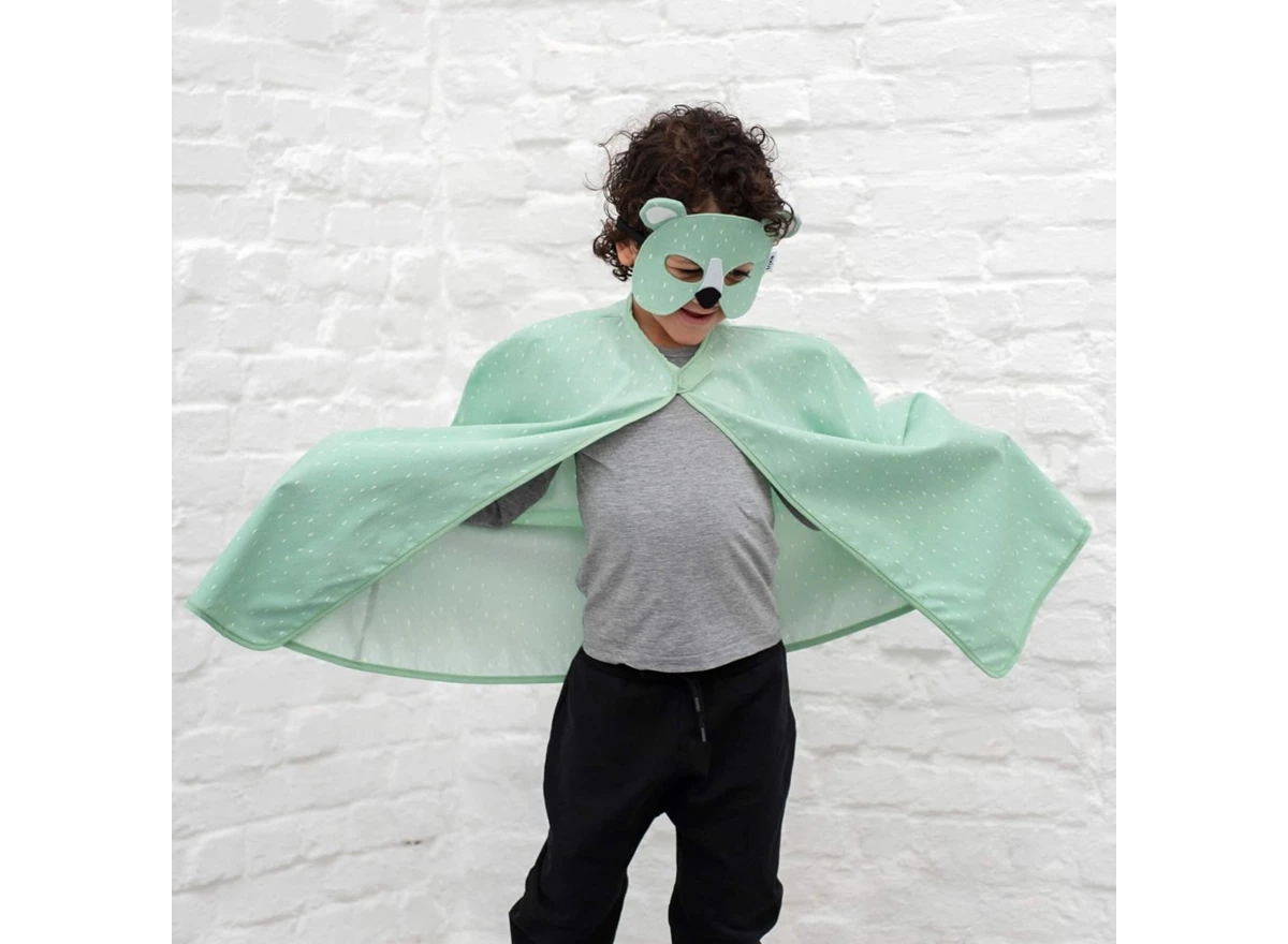Cape-and-mask-Mr-Polar-Bear