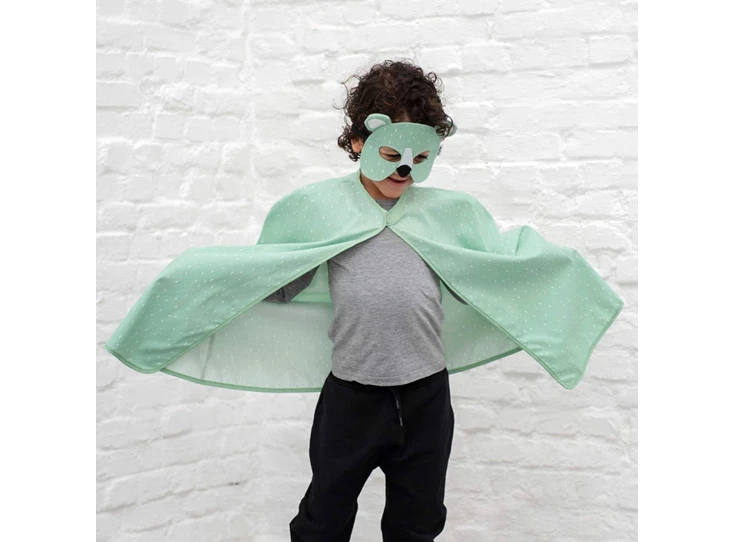 Cape-and-mask-Mr-Polar-Bear